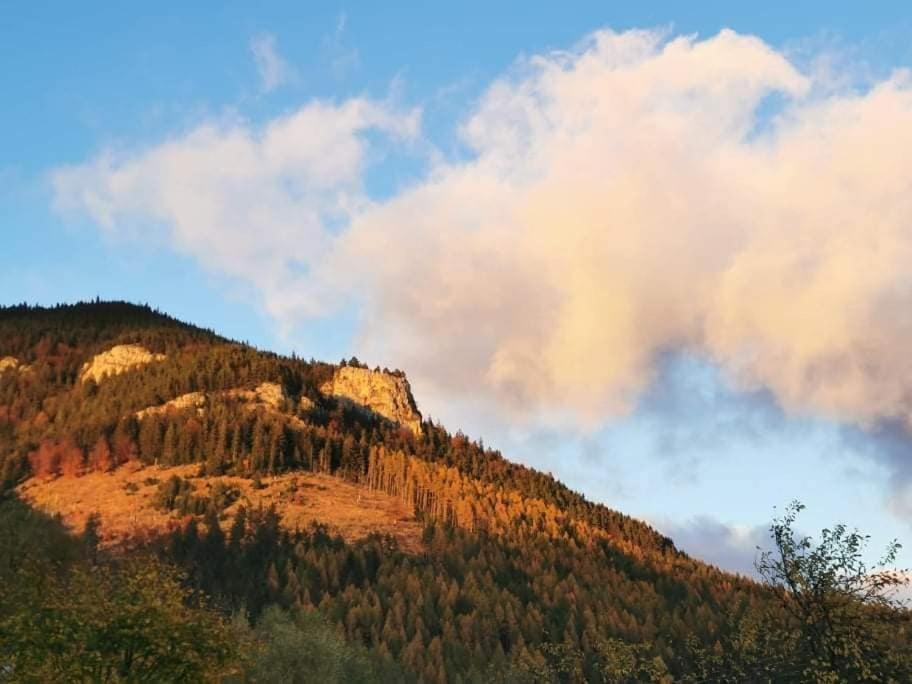Apartmánový dom Adas Prószék Kültér fotó